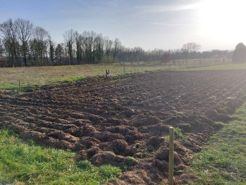 pluktuin1.jpg